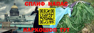 спиды Аргун