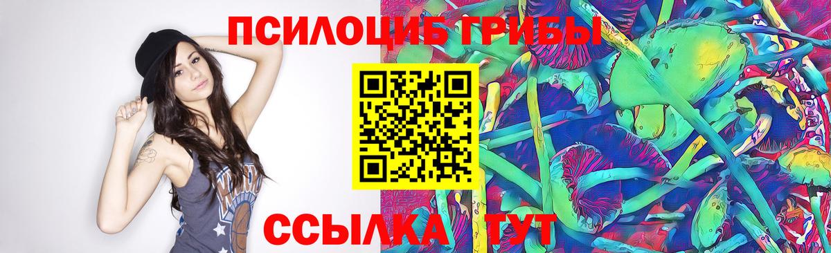 Псилоцибиновые грибы мухоморы Ачхой-Мартан