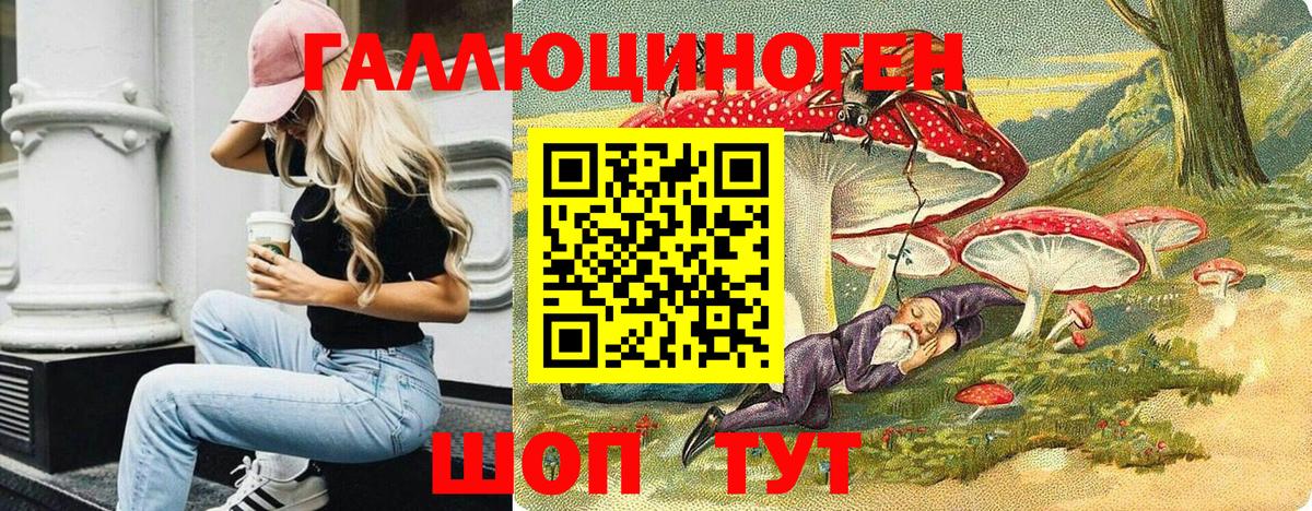 Псилоцибиновые грибы мицелий  Вход с VPN  Ачхой-Мартан 